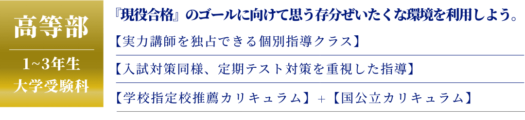 高等部 1~3年生 大学受験科 『現役合格』のゴールに向けて思う存分ぜいたくな環境を利用しよう。 【実力講師を独占できる個別指導クラス】 【入試対策同様、定期テスト対策を重視した指導】 【学校指定校推薦カリキュラム】＋【国公立カリキュラム】